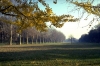 cascine223_20
