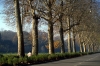 cascine222_03