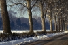 cascine232_05