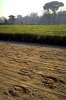 PCD0338_092