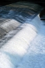 acqua_pescaia_santarosa3