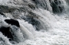 arno_acqua_030311