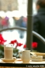 caffe_rivoire01