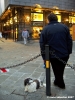 cane_via_roma01