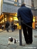 cane_via_roma02