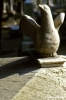 firenze106_01