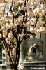 firenze106_18