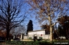 firenze762_31