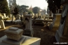 firenze763_40