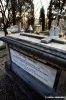 firenze785_24