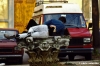 firenze796_50