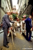 firenze805_46