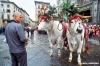 firenze806_20