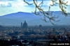 firenze_da_villamagna04