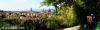 giardino_delle_rose03