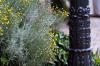 giardino_delle_rose07