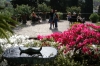 giardino_delle_rose1