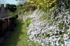 giardino_delle_rose3
