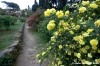 giardino_delle_rose3_060507