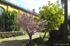 giardino_semplici001