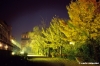 giardino_semplici156_19