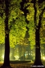giardino_semplici156_35