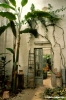 giardino_semplici206_41