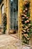 giardino_semplici206_42