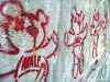 graffito007