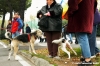 manifestazione_socialforum22
