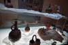 officina_smnovella32