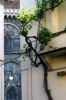 piazza_delle_pallottole