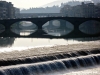 ponte_alla_carraia2