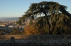 san_miniato19_031223
