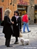 via_calimala_porcellino01