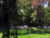 viale_dei_colli007