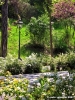 viale_dei_colli029