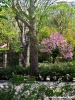 viale_dei_colli033
