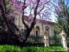viale_dei_colli035