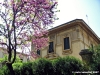 viale_dei_colli037