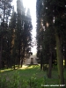 viale_galilei2