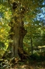 PCD0647_057