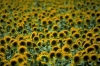 PCD0647_072