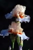 iris41