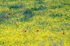 primavera1_040514