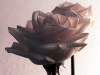 rose_mazzo9