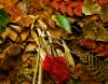 foglie_gioelli45