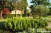 villa_la_massa3
