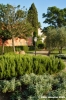 villa_la_massa4