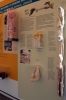 prato_museo_tessuto10